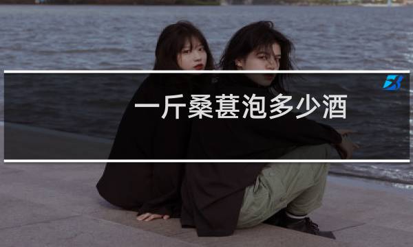 一斤桑葚泡多少酒