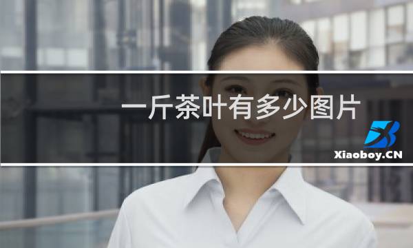 一斤茶叶有多少图片