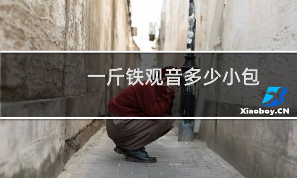 一斤铁观音多少小包