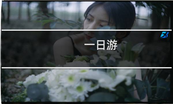 一日游 北京