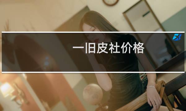 一旧皮社价格