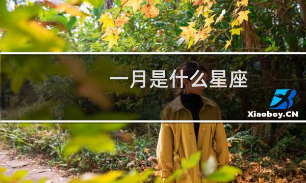 一月是什么星座