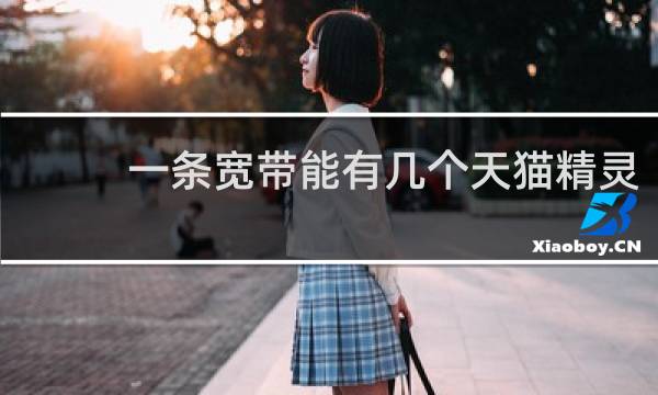一条宽带能有几个天猫精灵