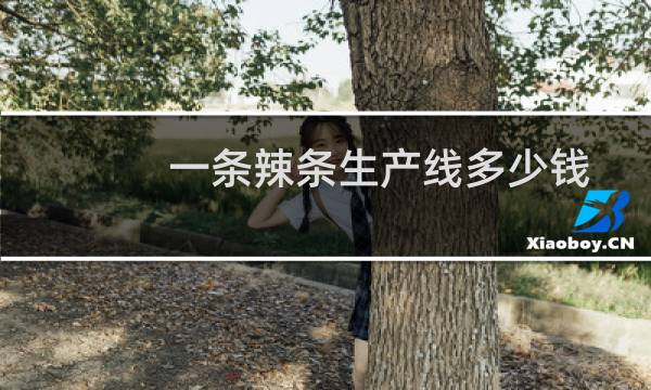 一条辣条生产线多少钱