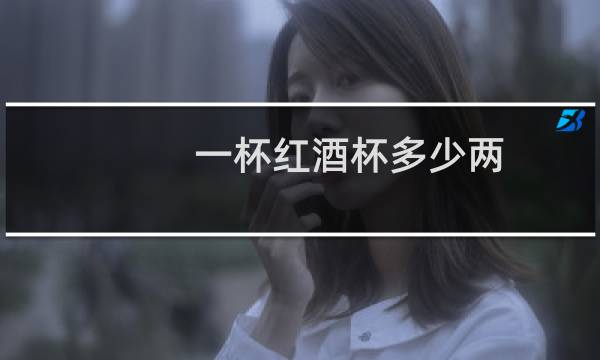 一杯红酒杯多少两
