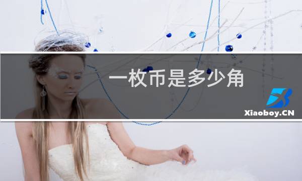 一枚币是多少角