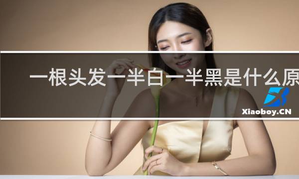 一根头发一半白一半黑是什么原因 根部黑