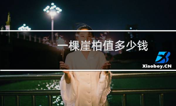 一棵崖柏值多少钱