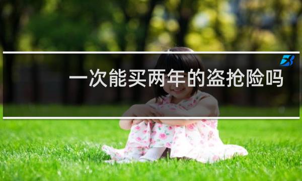 一次能买两年的盗抢险吗