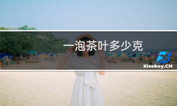 一泡茶叶多少克