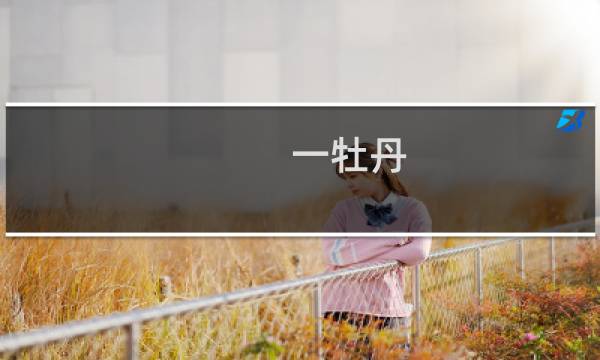 一牡丹 攻略