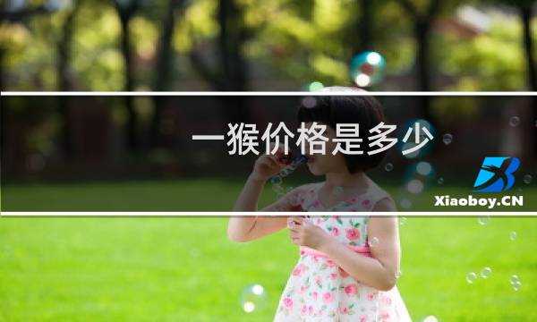 一猴价格是多少