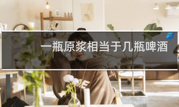 一瓶原浆相当于几瓶啤酒