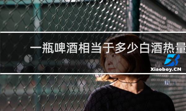 一瓶啤酒相当于多少白酒热量