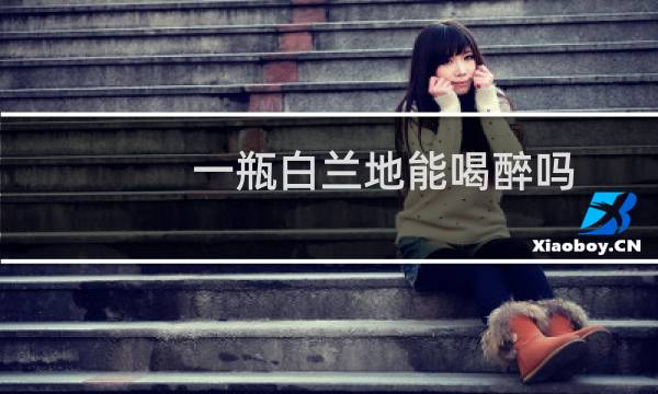 一瓶白兰地能喝醉吗