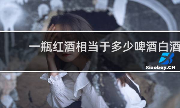 一瓶红酒相当于多少啤酒白酒