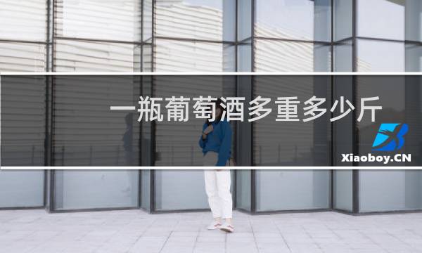 一瓶葡萄酒多重多少斤