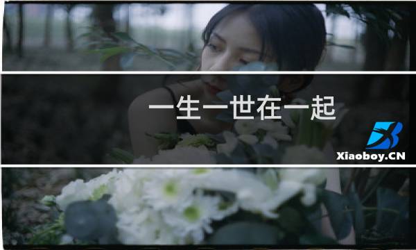 一生一世在一起