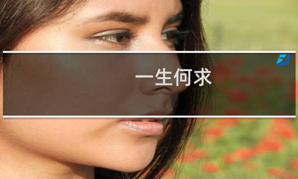 一生何求 电视剧