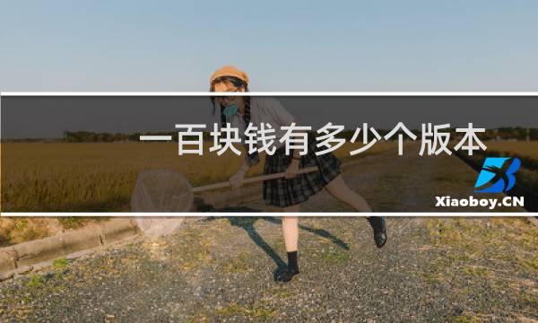 一百块钱有多少个版本