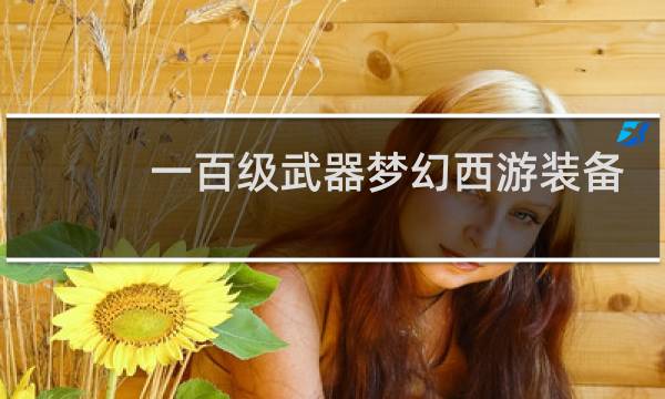 一百级武器梦幻西游装备
