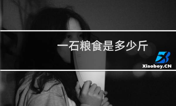 一石粮食是多少斤