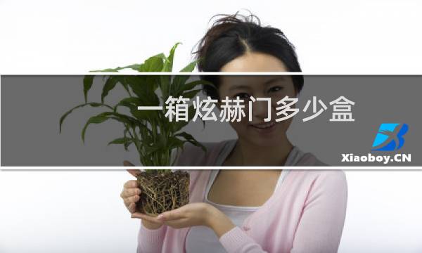 一箱炫赫门多少盒