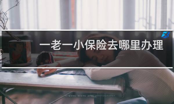 一老一小保险去哪里办理