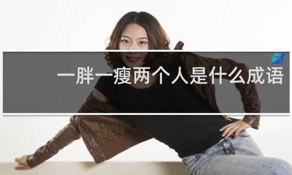 一胖一瘦两个人是什么成语