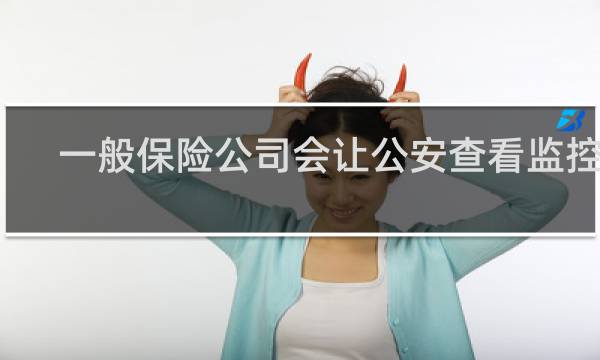 一般保险公司会让公安查看监控吗