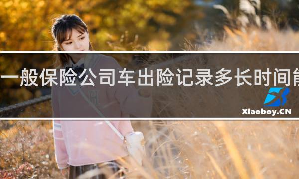 一般保险公司车出险记录多长时间能查到