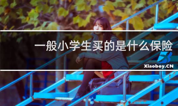 一般小学生买的是什么保险