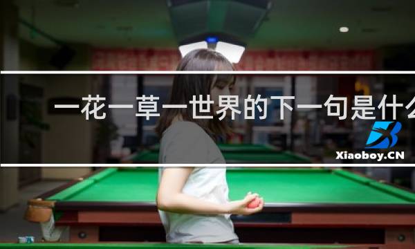 一花一草一世界的下一句是什么
