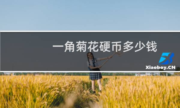 一角菊花硬币多少钱