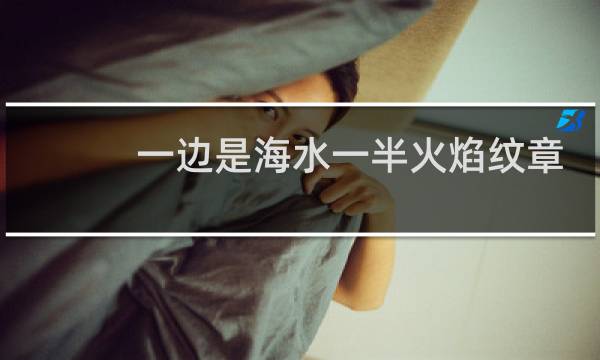 一边是海水一半火焰纹章