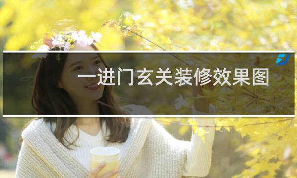 一进门玄关装修效果图