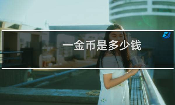 一金币是多少钱