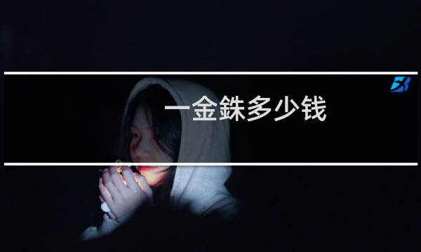 一金銖多少钱