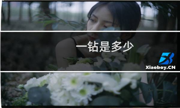 一钻是多少