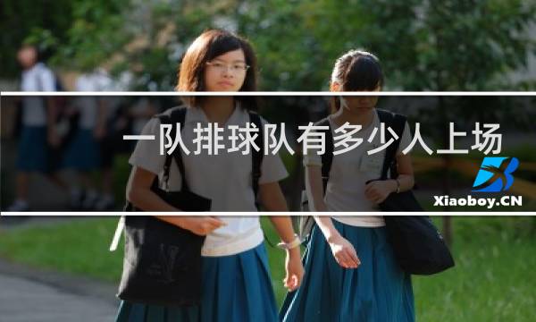 一队排球队有多少人上场