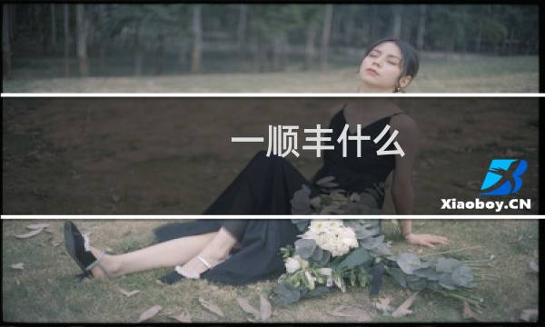 一顺丰什么