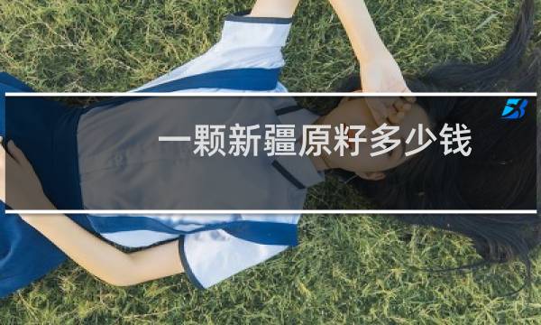 一颗新疆原籽多少钱