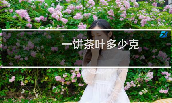 一饼茶叶多少克