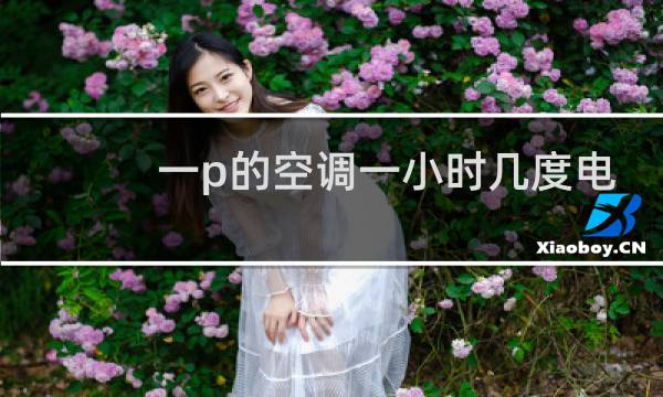 一p的空调一小时几度电