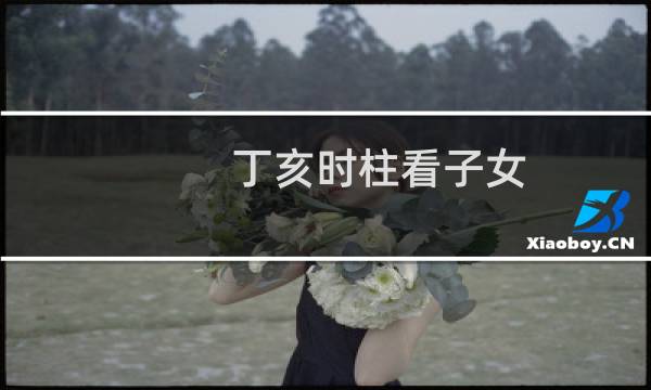 丁亥时柱看子女