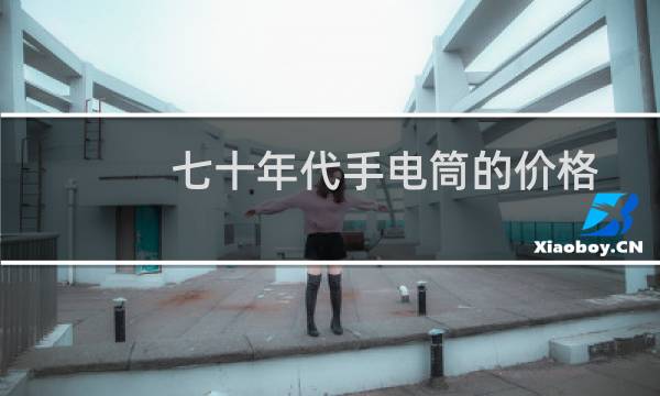 七十年代手电筒的价格
