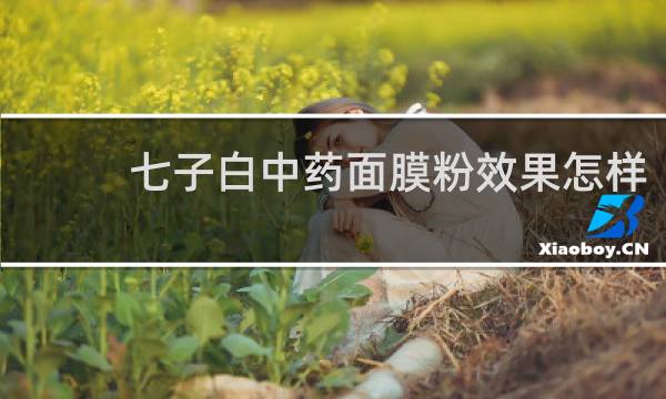 七子白中药面膜粉效果怎样