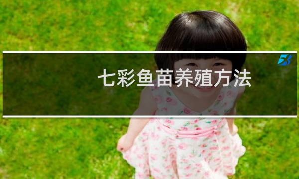 七彩鱼苗养殖方法