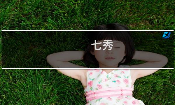 七秀 攻略