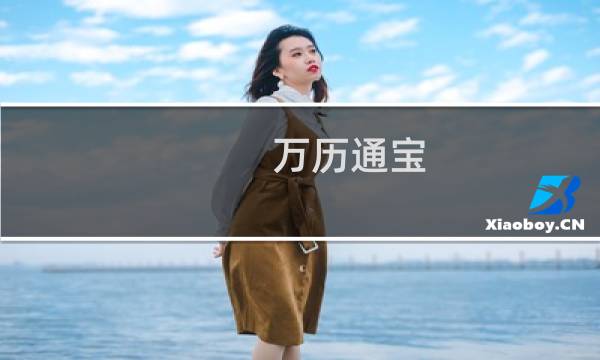 万历通宝 价格